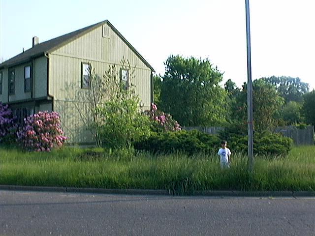 DS-7