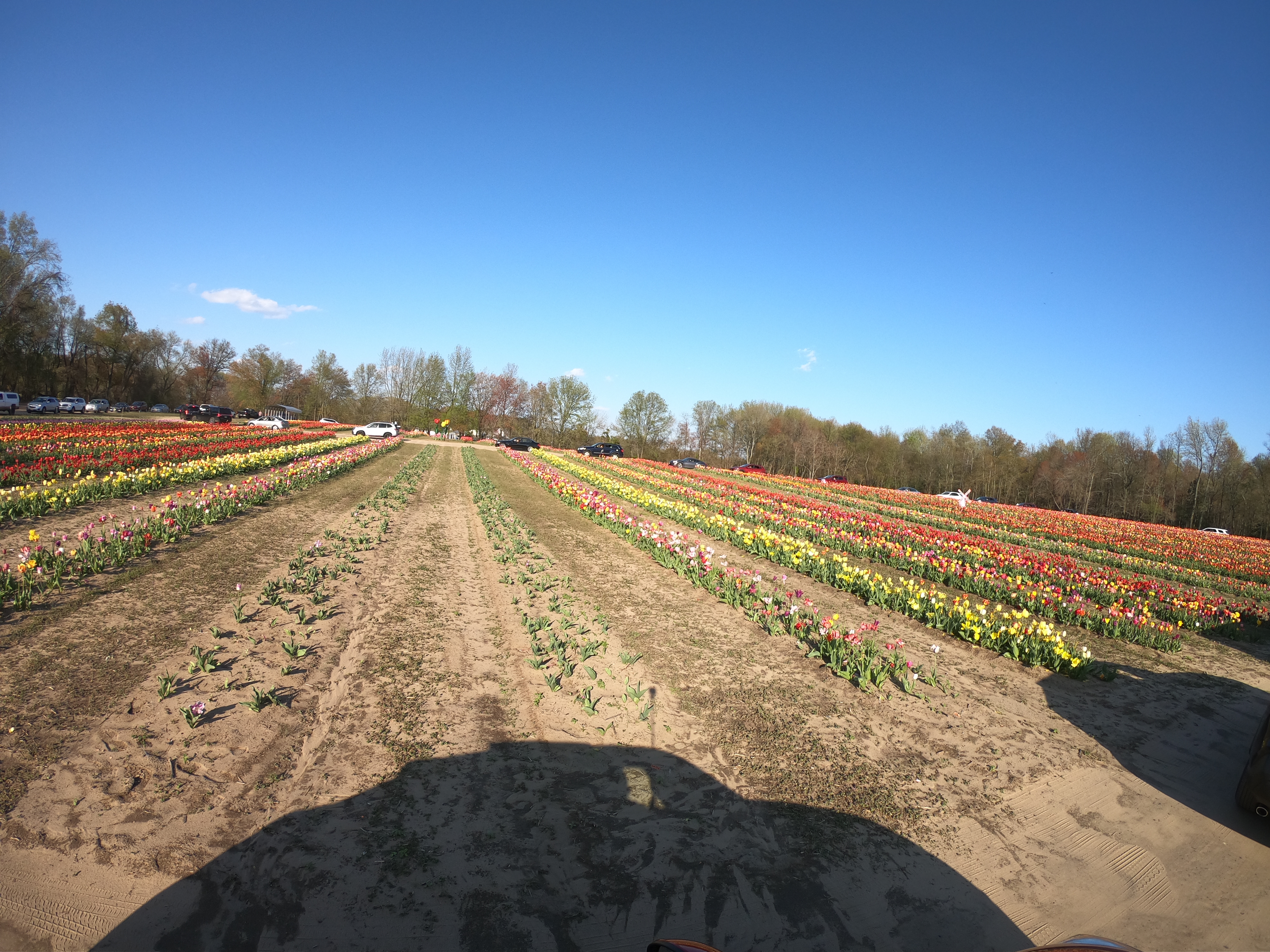 HERO7