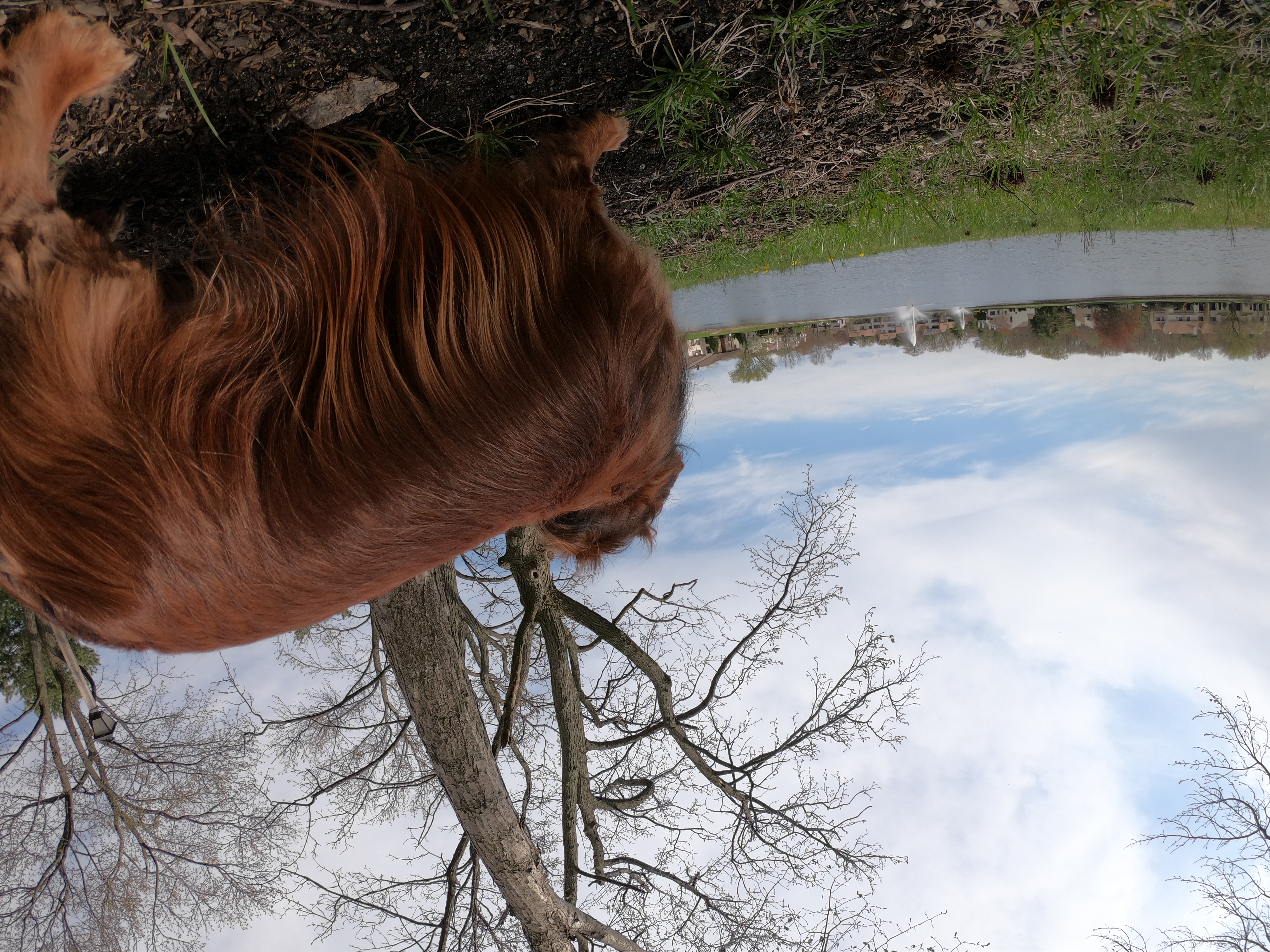 HERO7