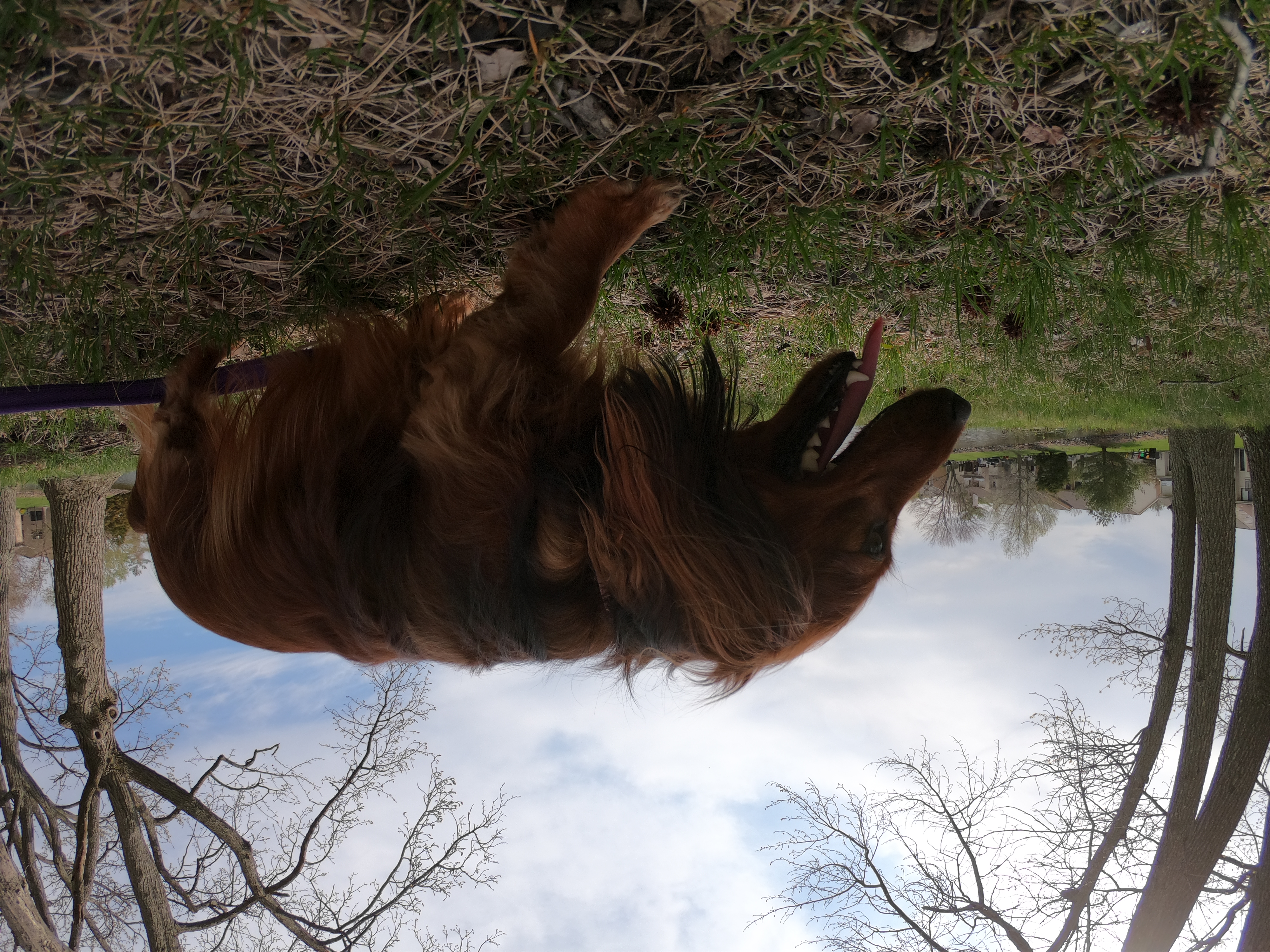 HERO7