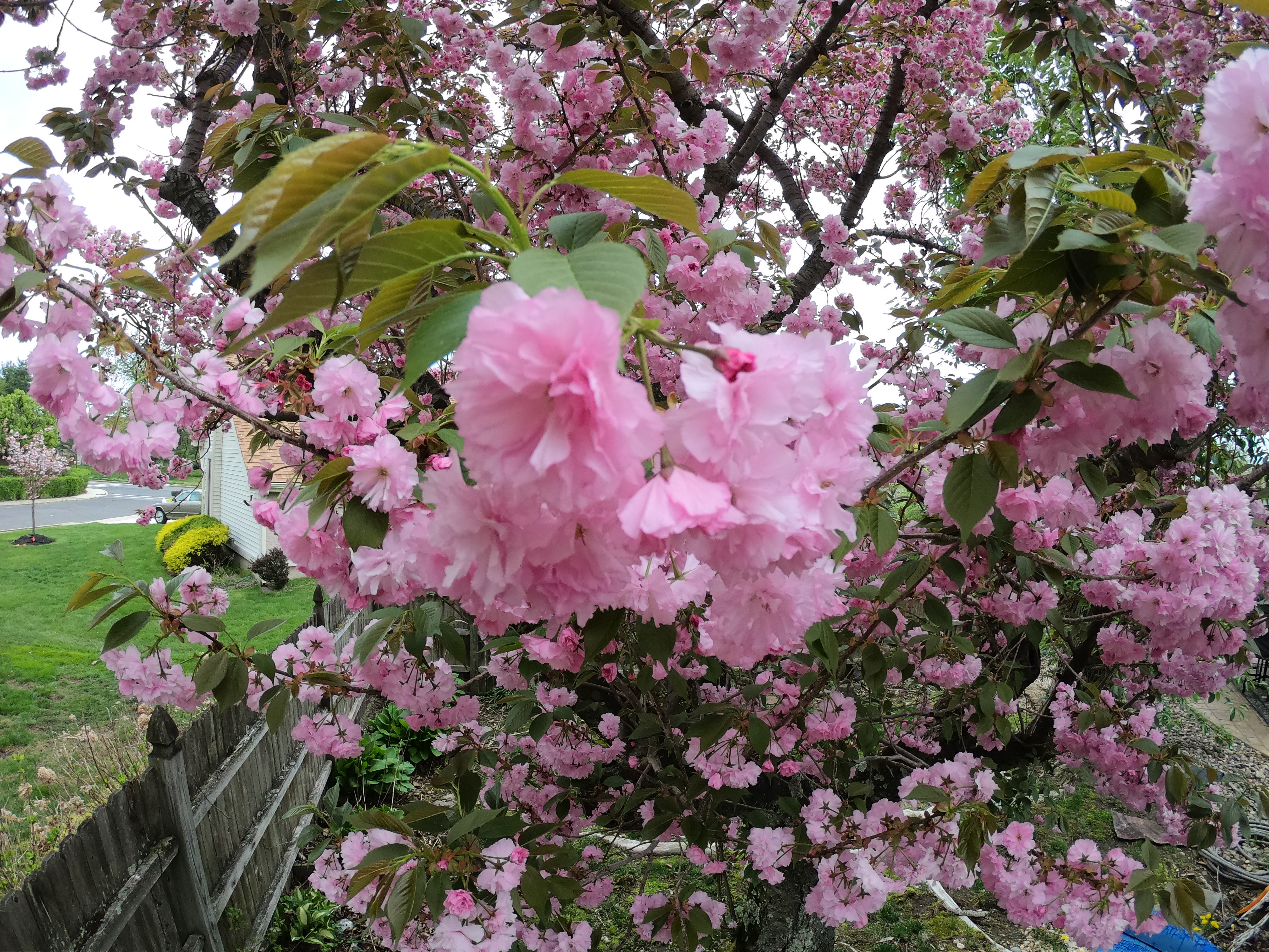 HERO7