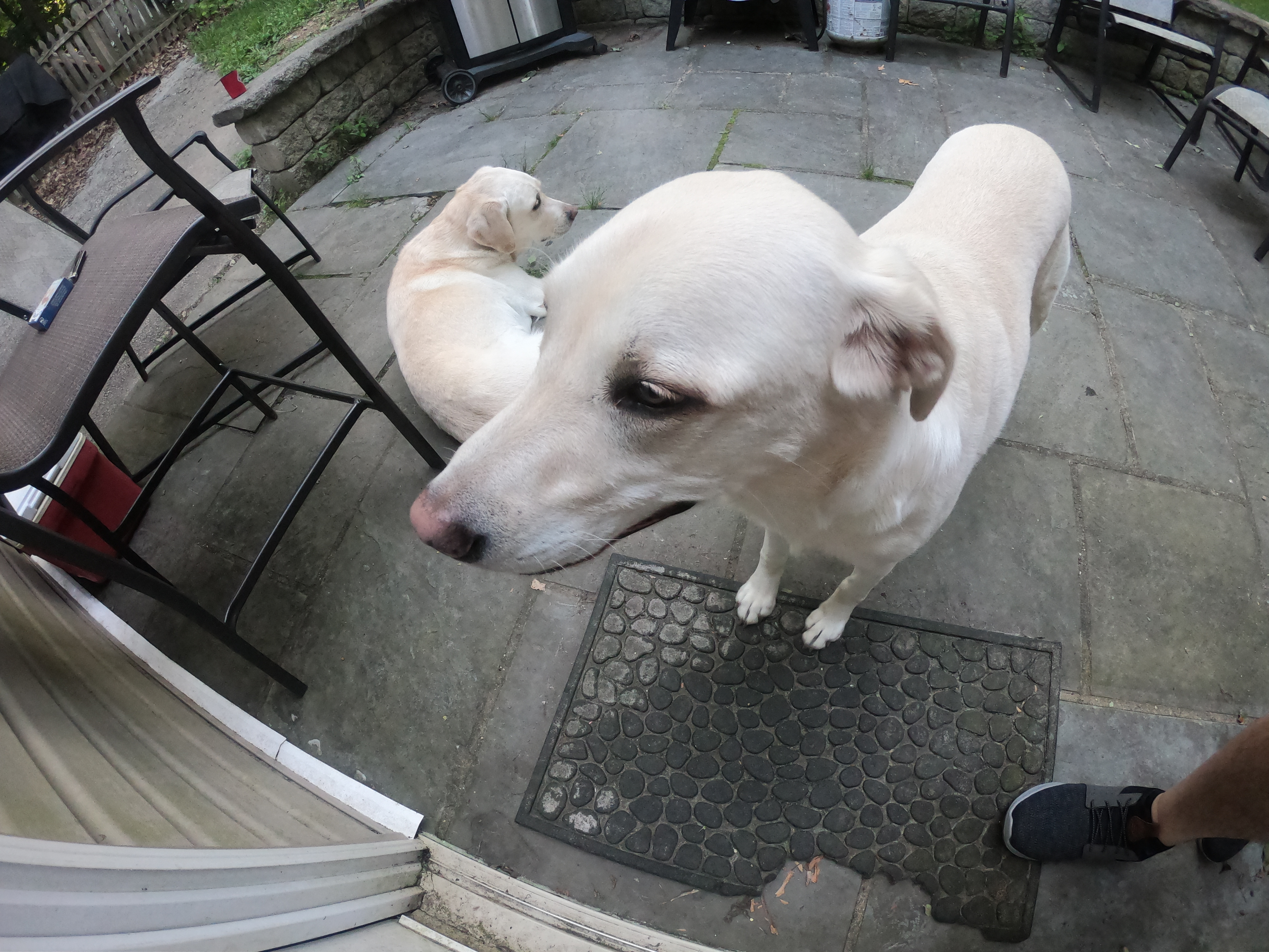 HERO7