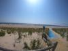 HERO7