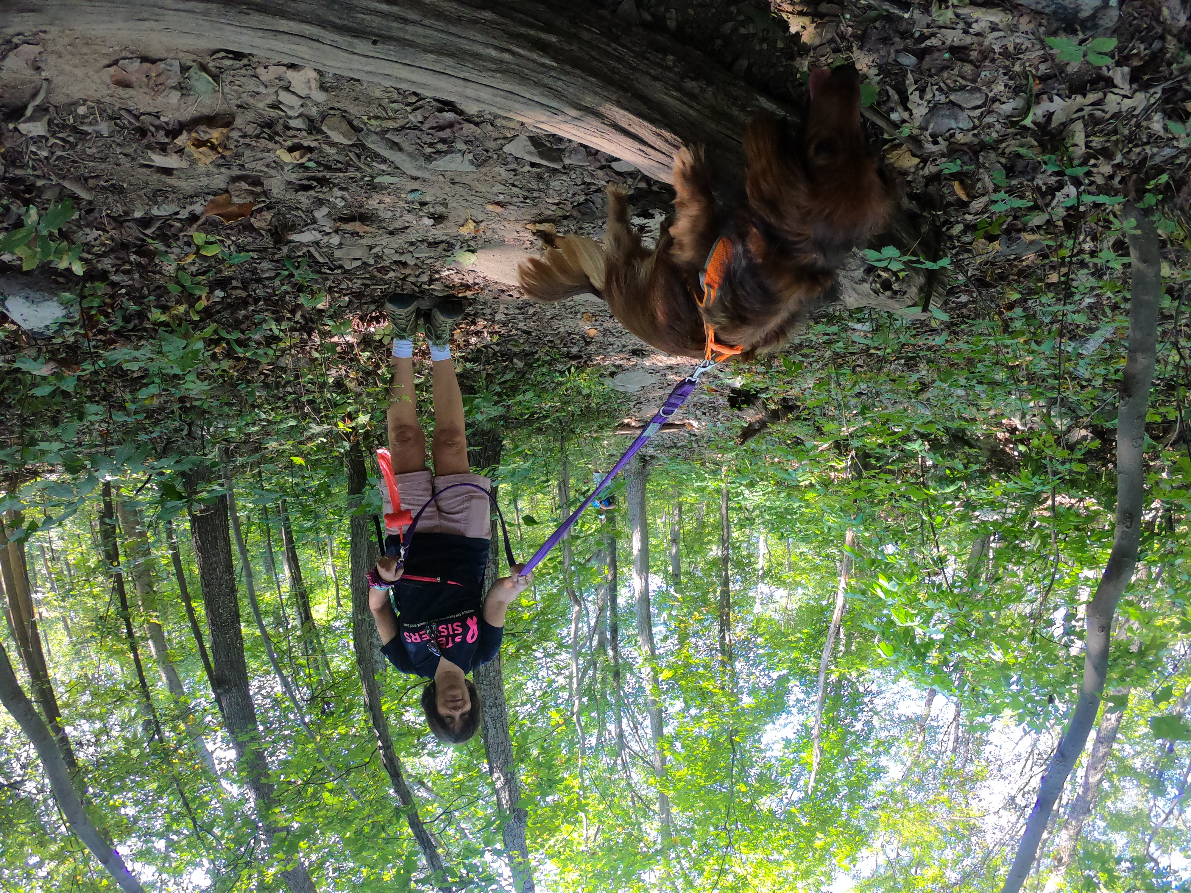 HERO7