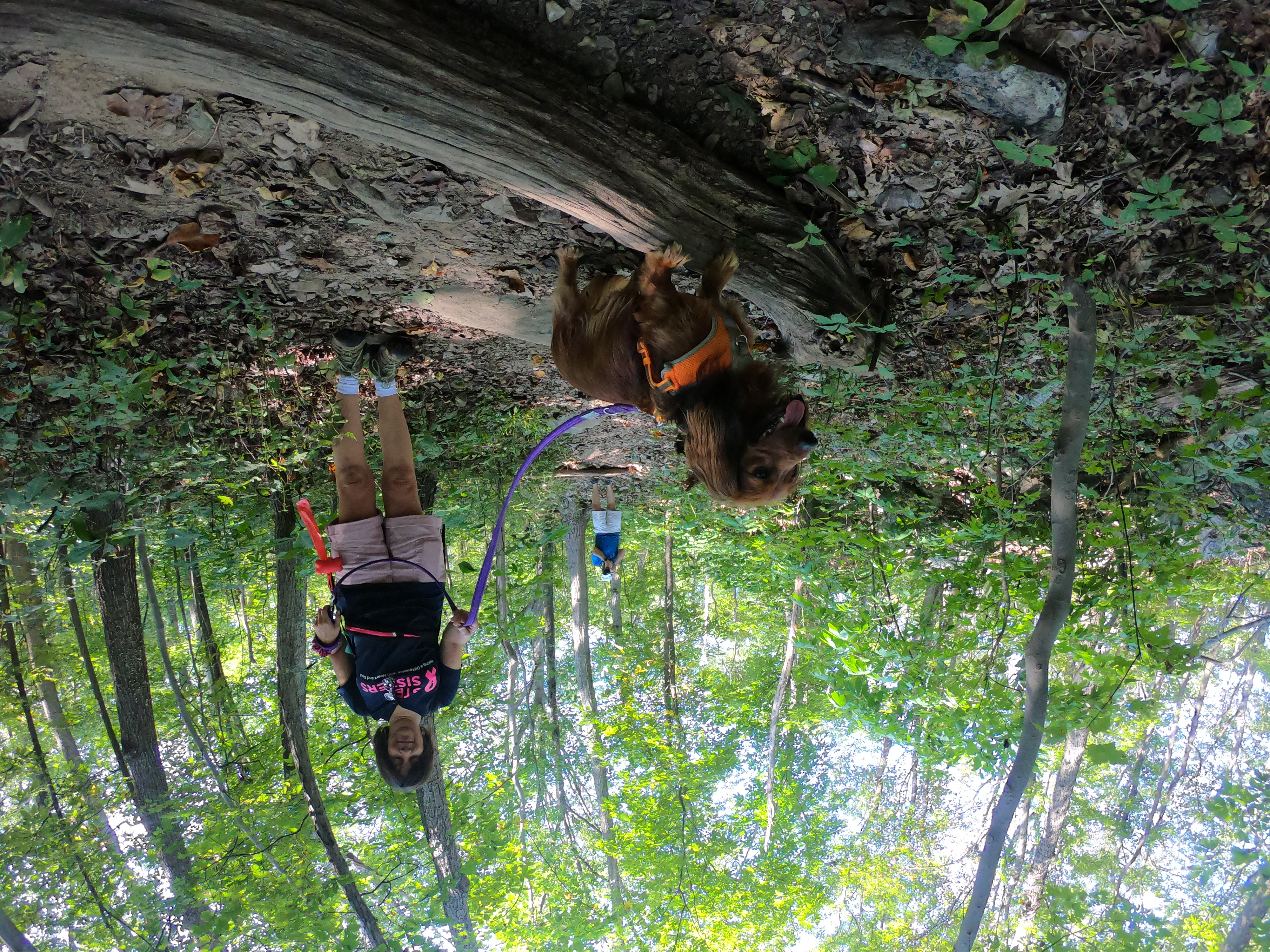 HERO7