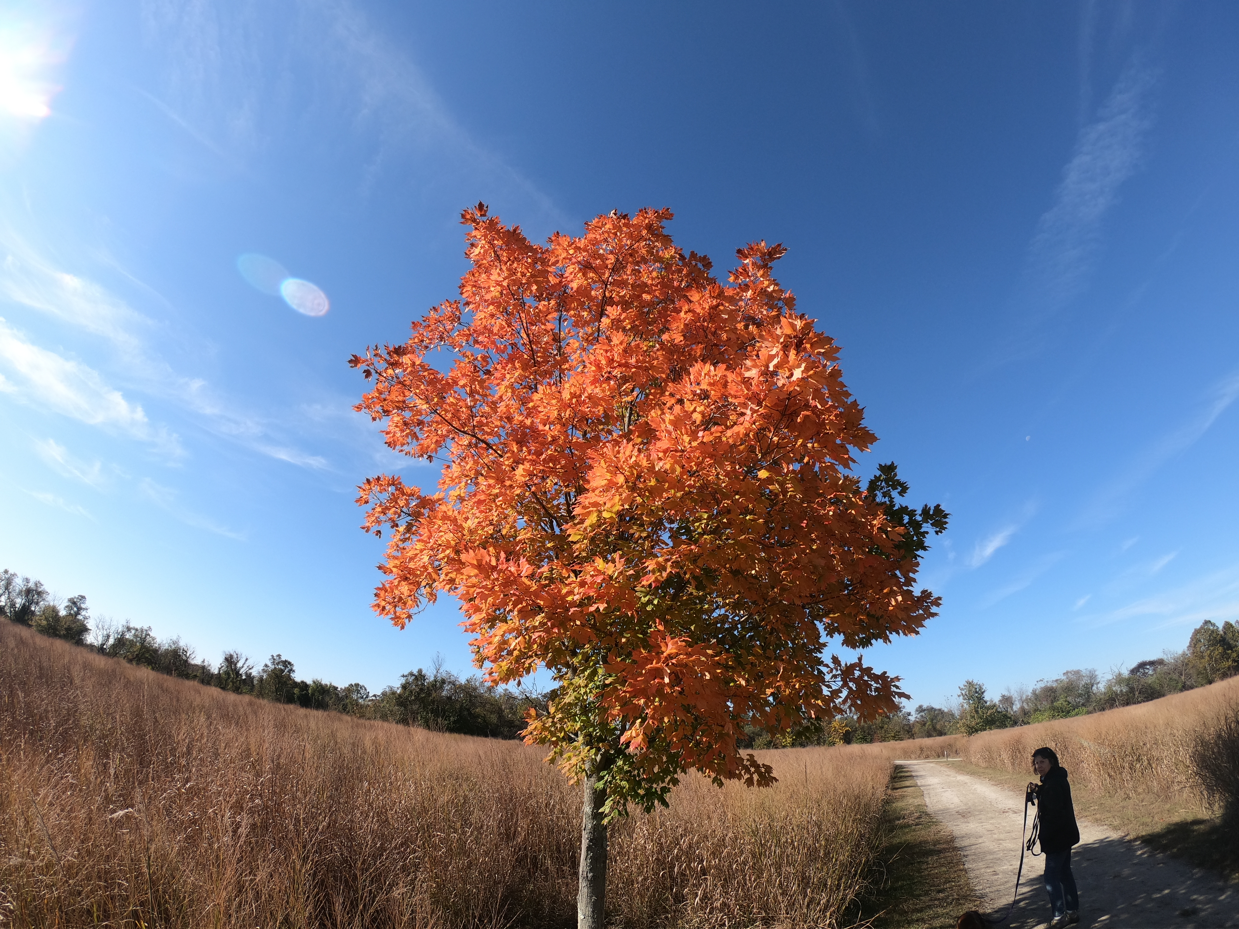 HERO7