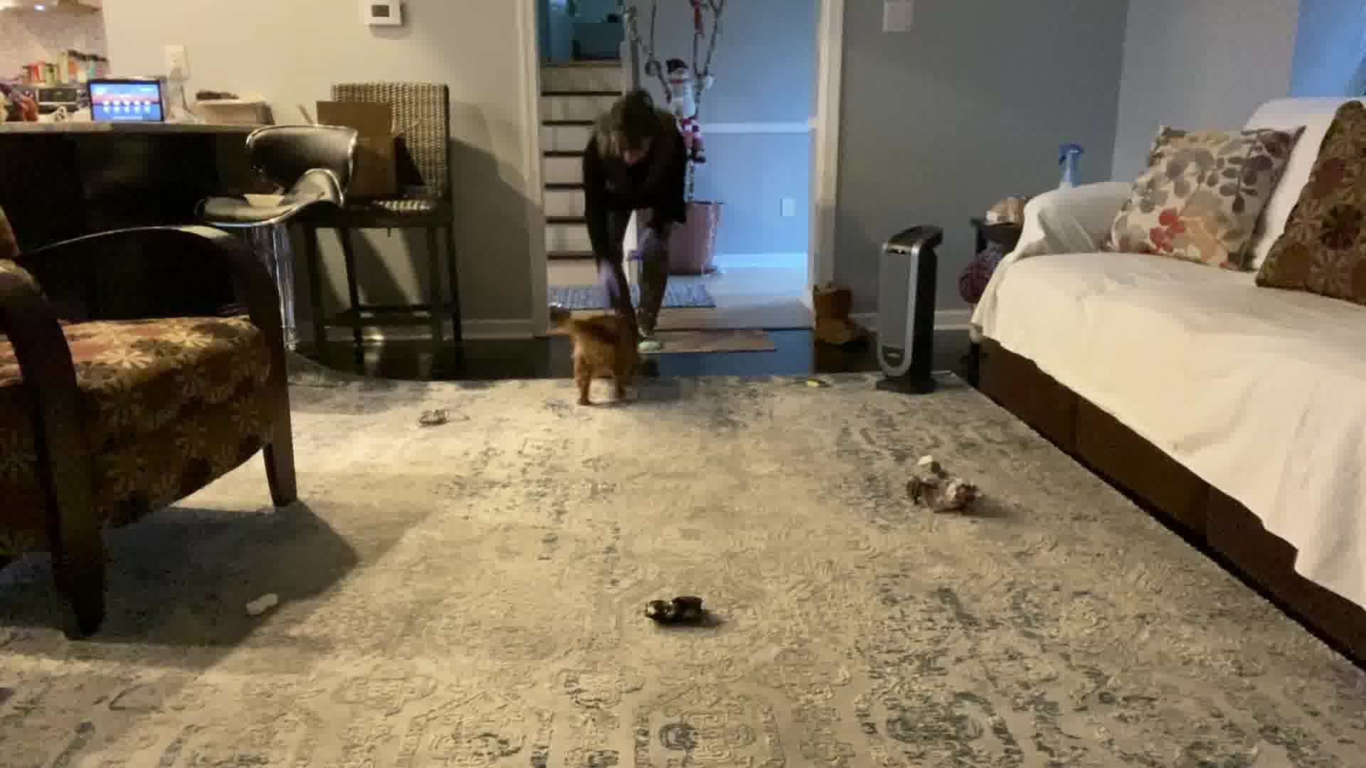 2020:10:29