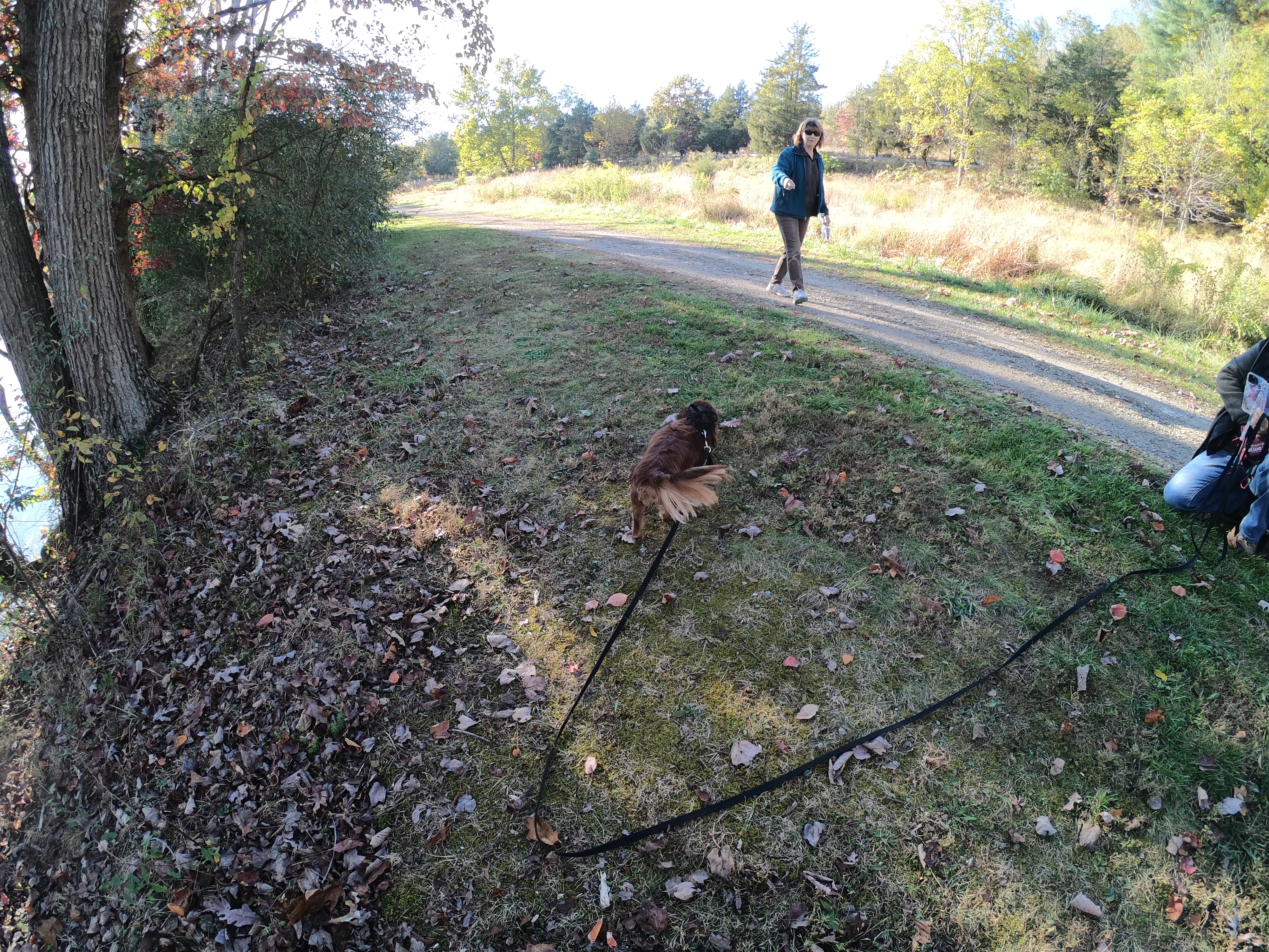 HERO7