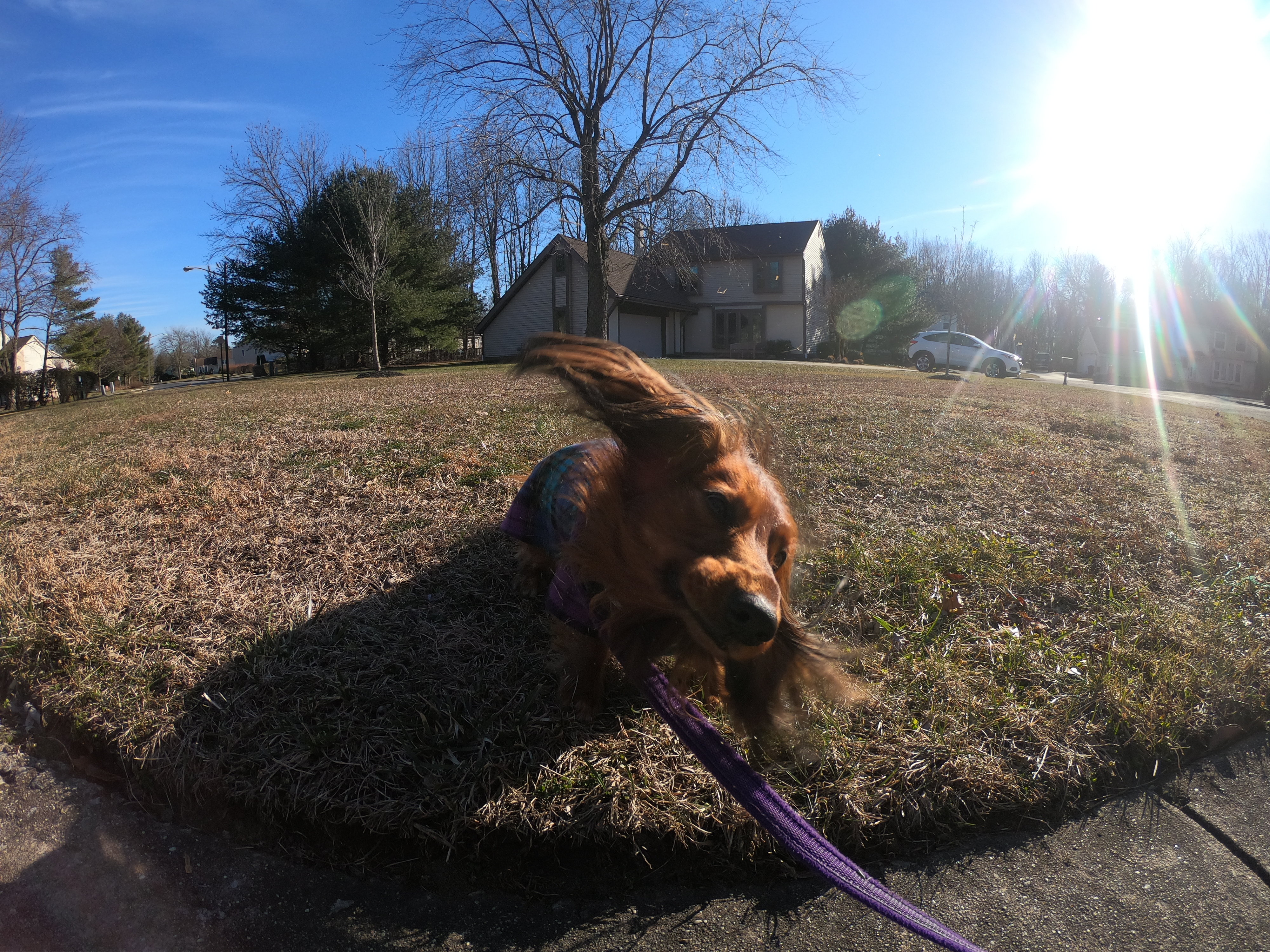 HERO7
