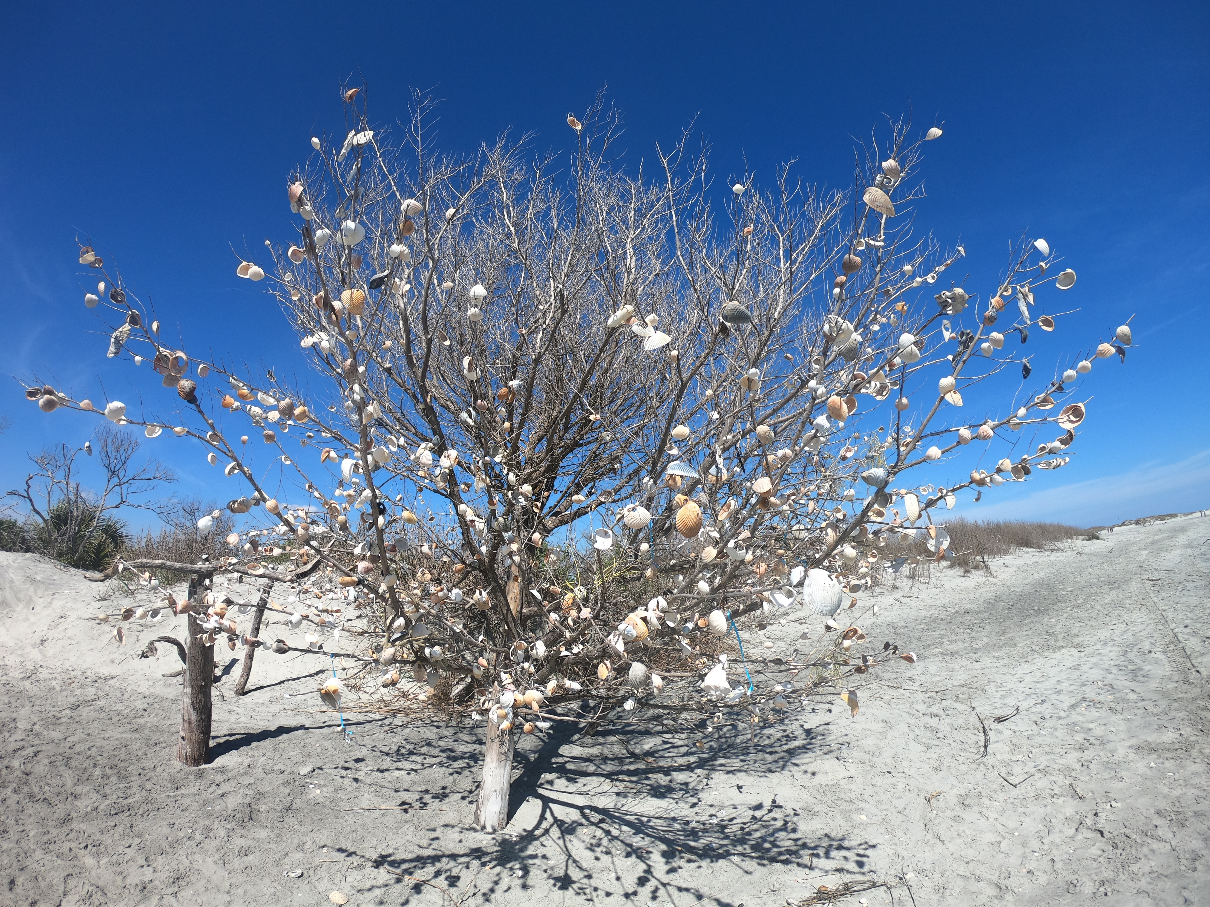 HERO7