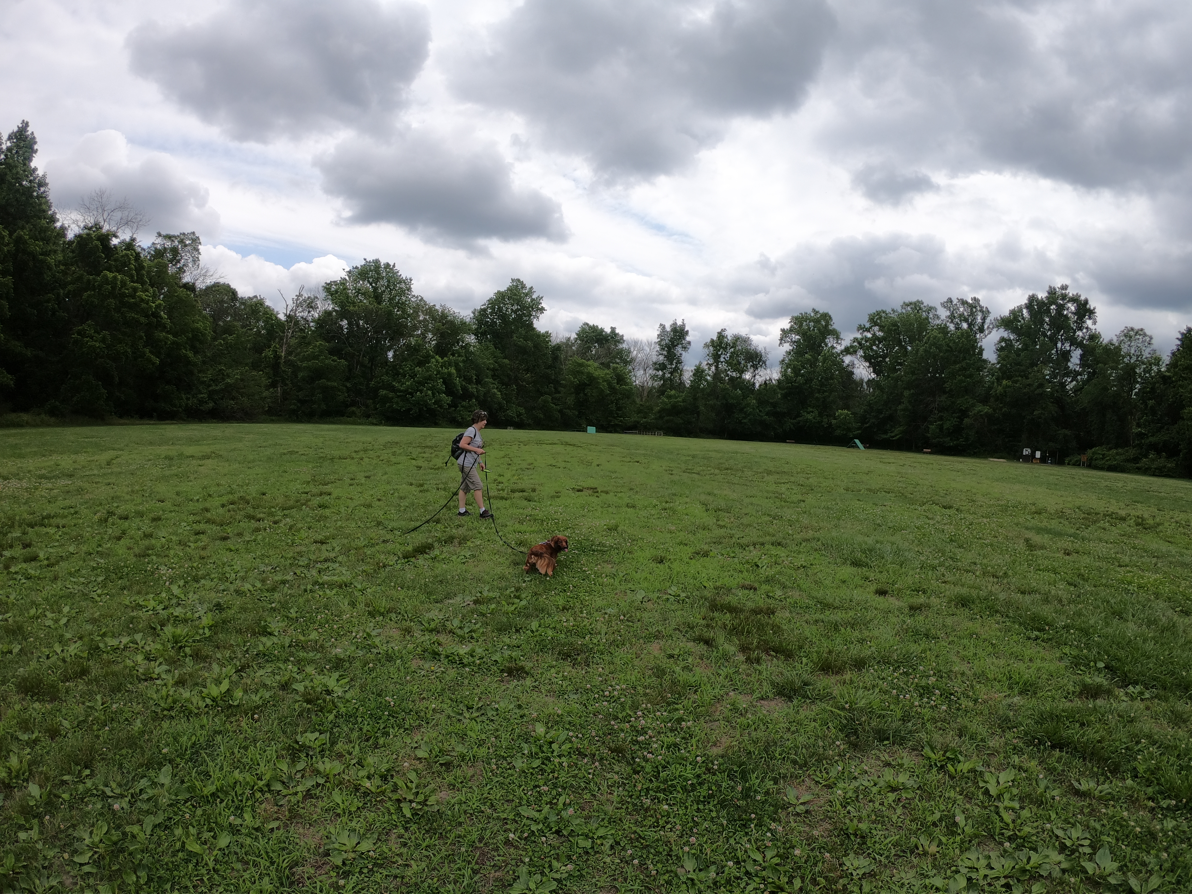 HERO7