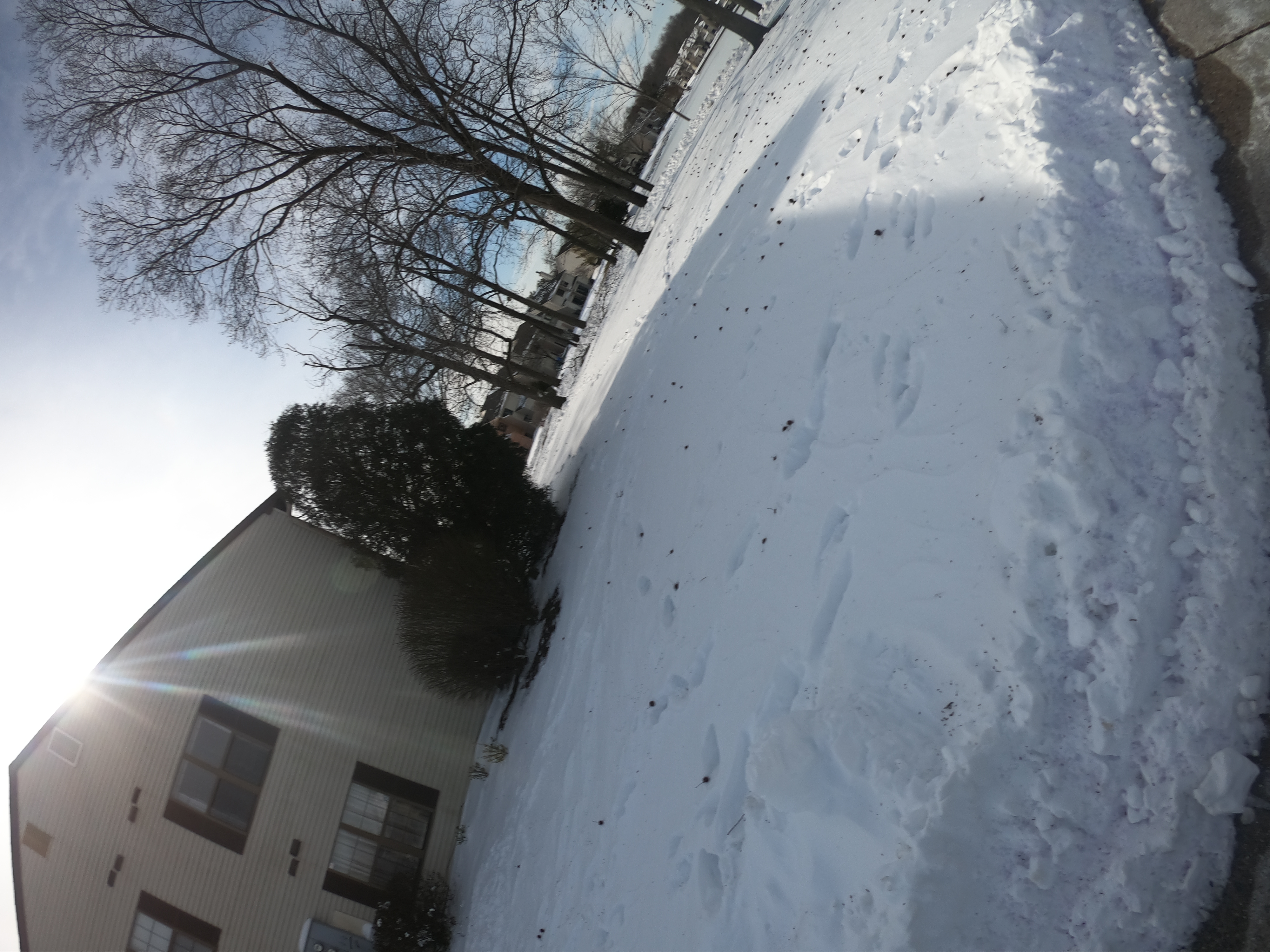 HERO7