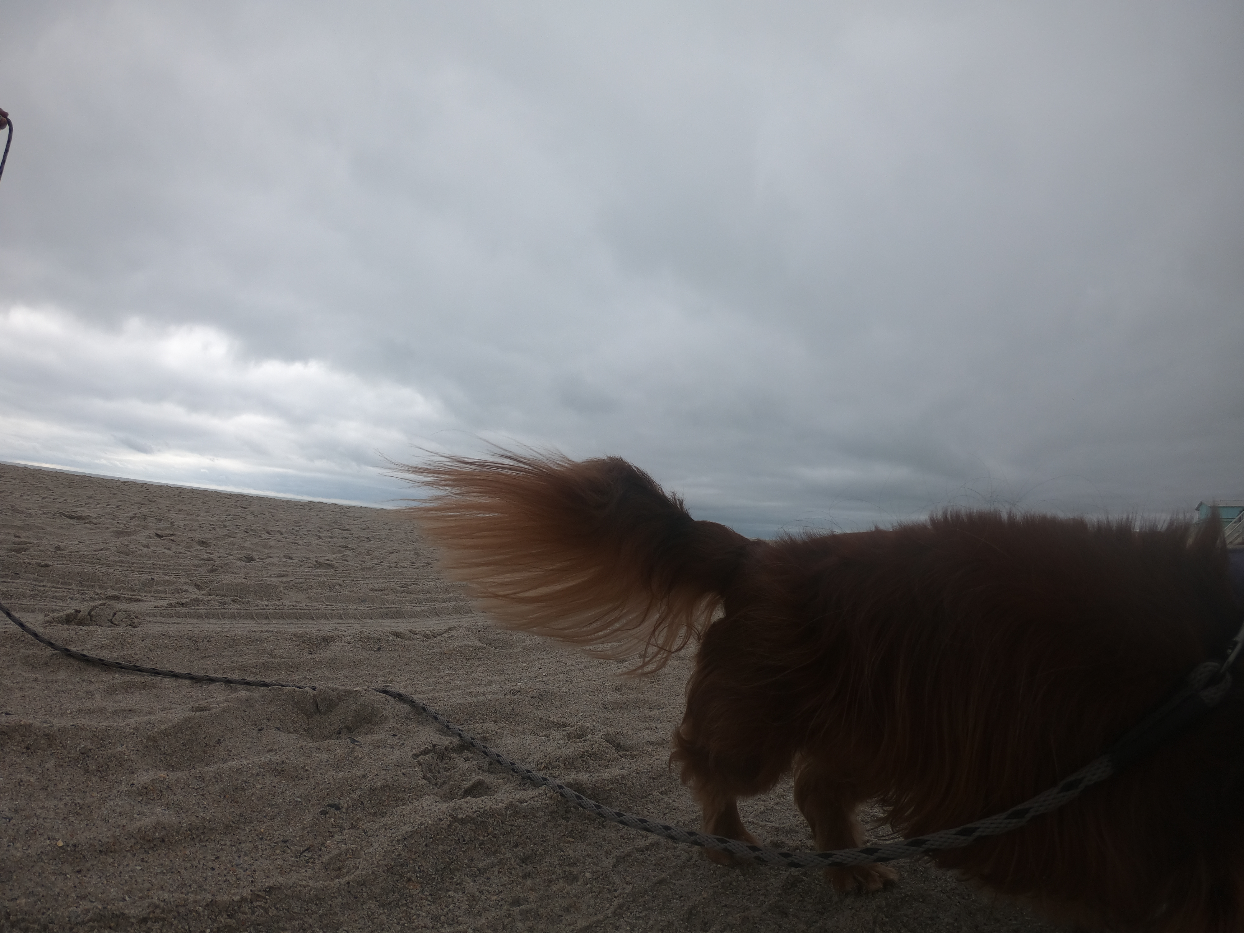 HERO7