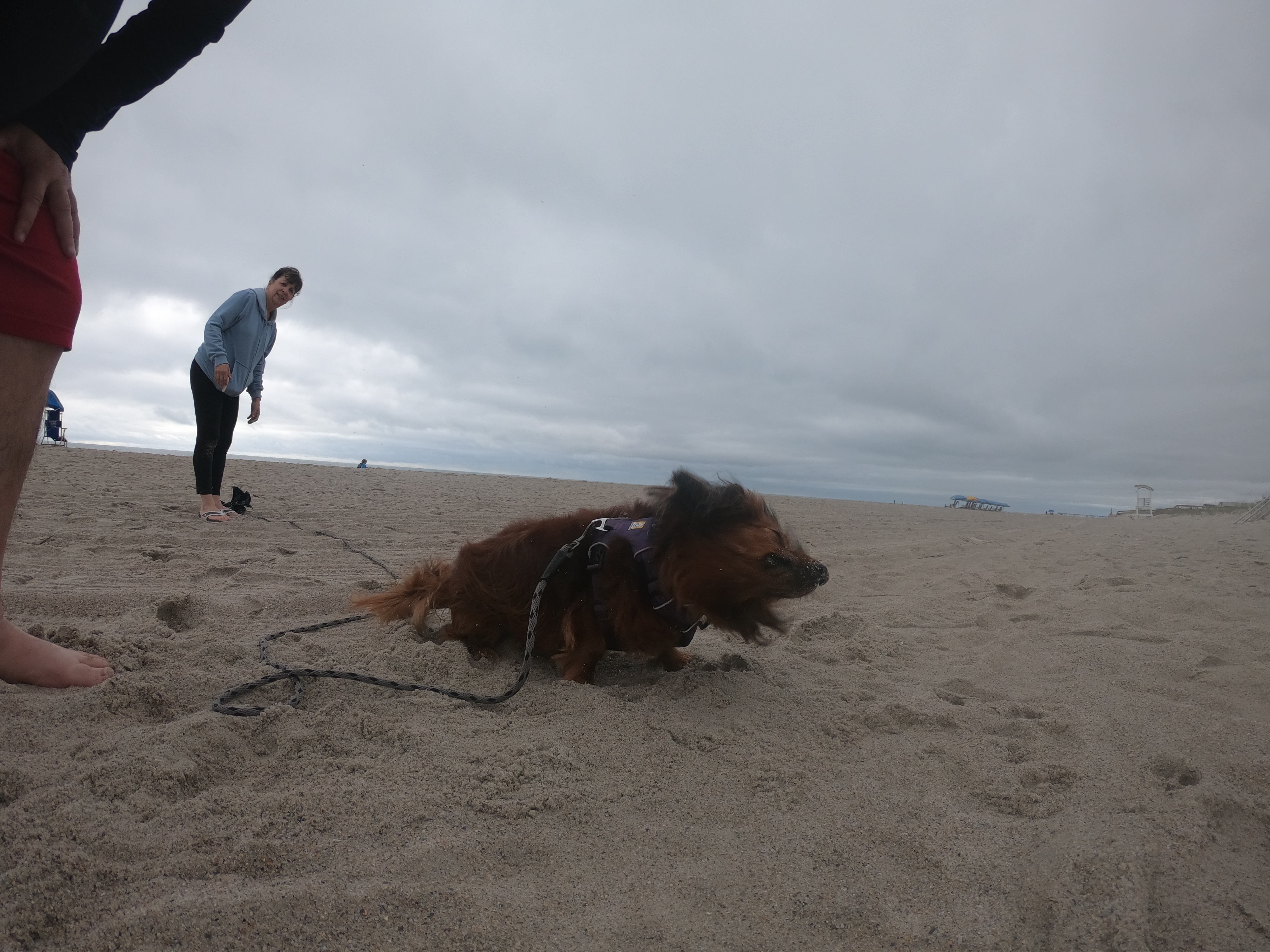 HERO7
