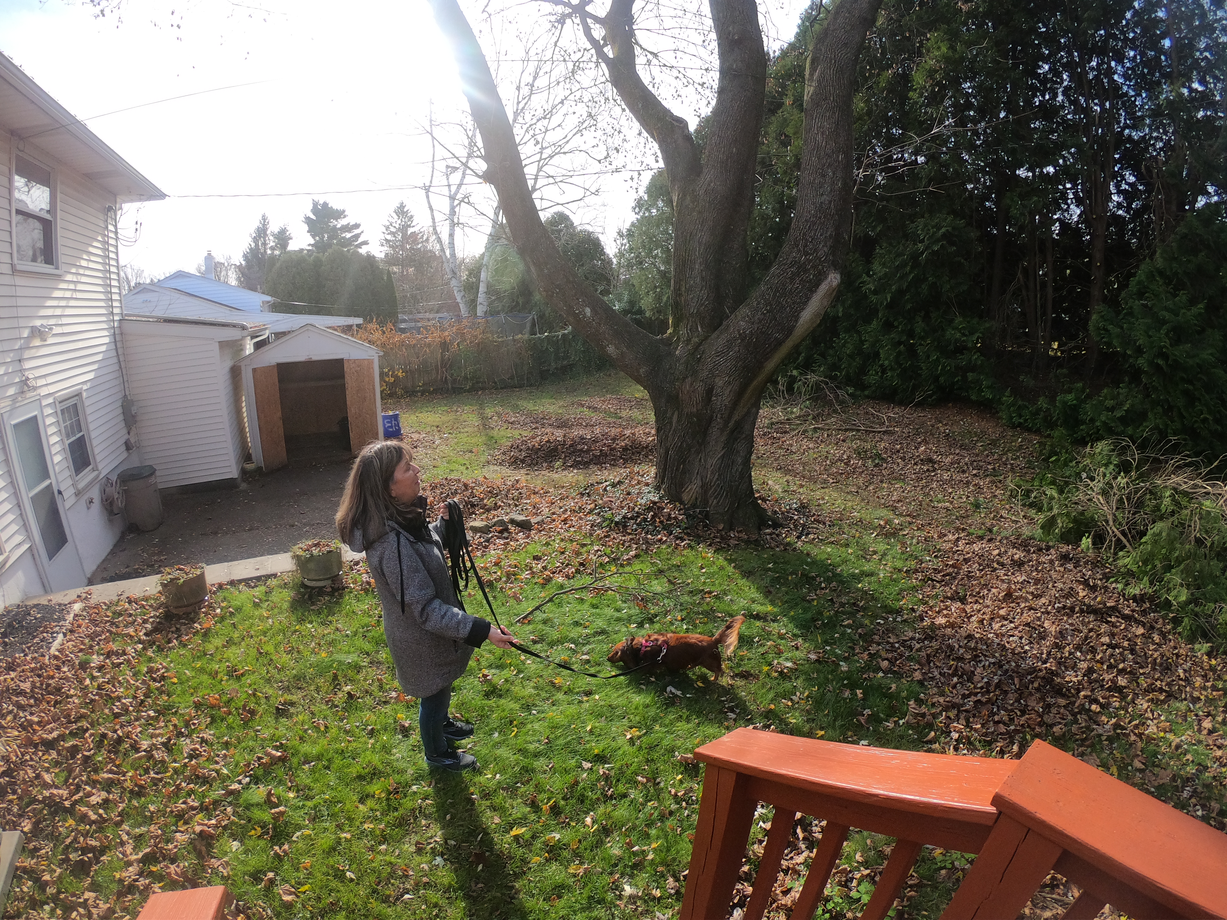 HERO7