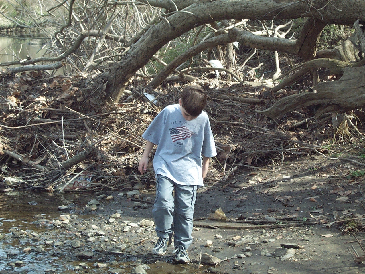KODAK
