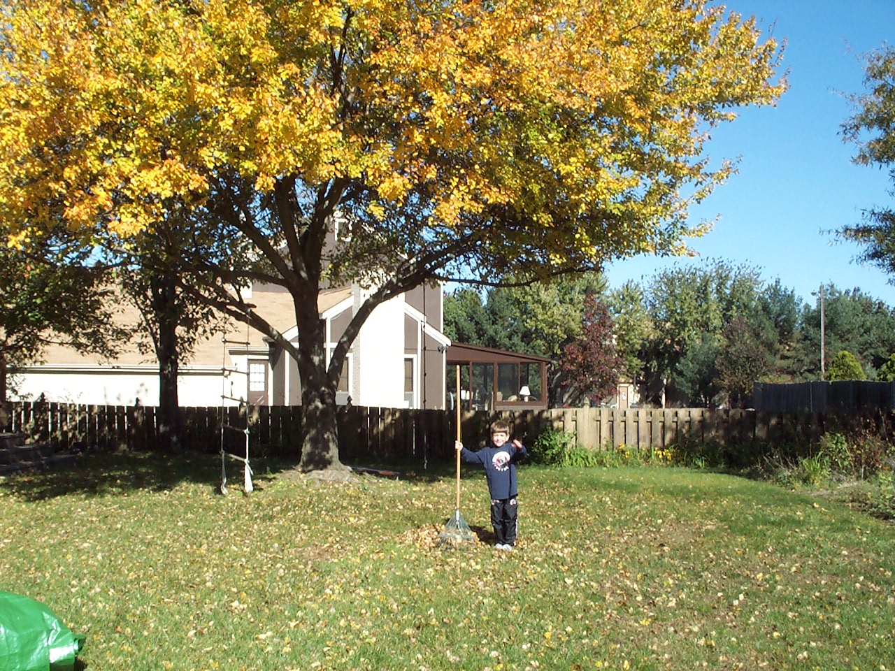 KODAK