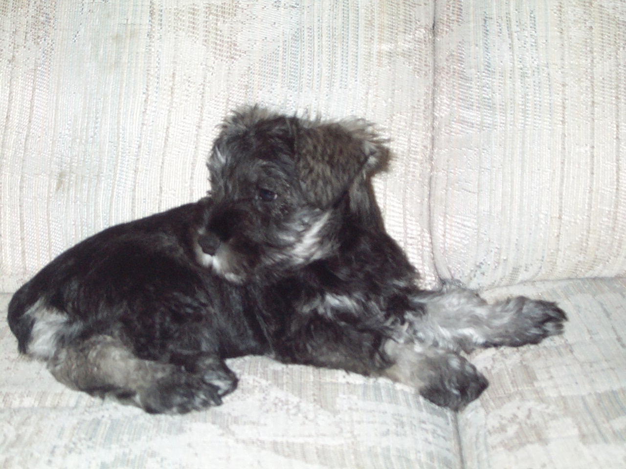KODAK