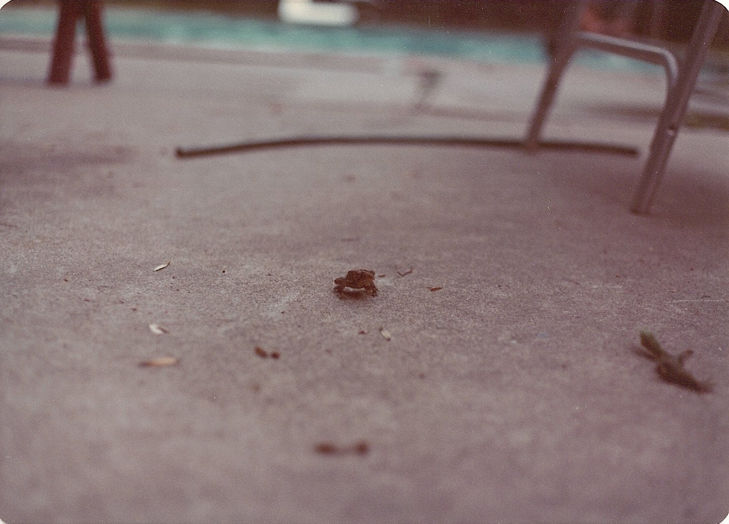 2010:03:29