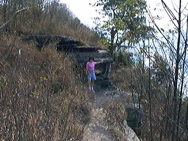 DS-7