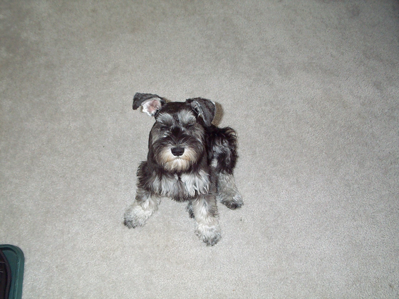 KODAK
