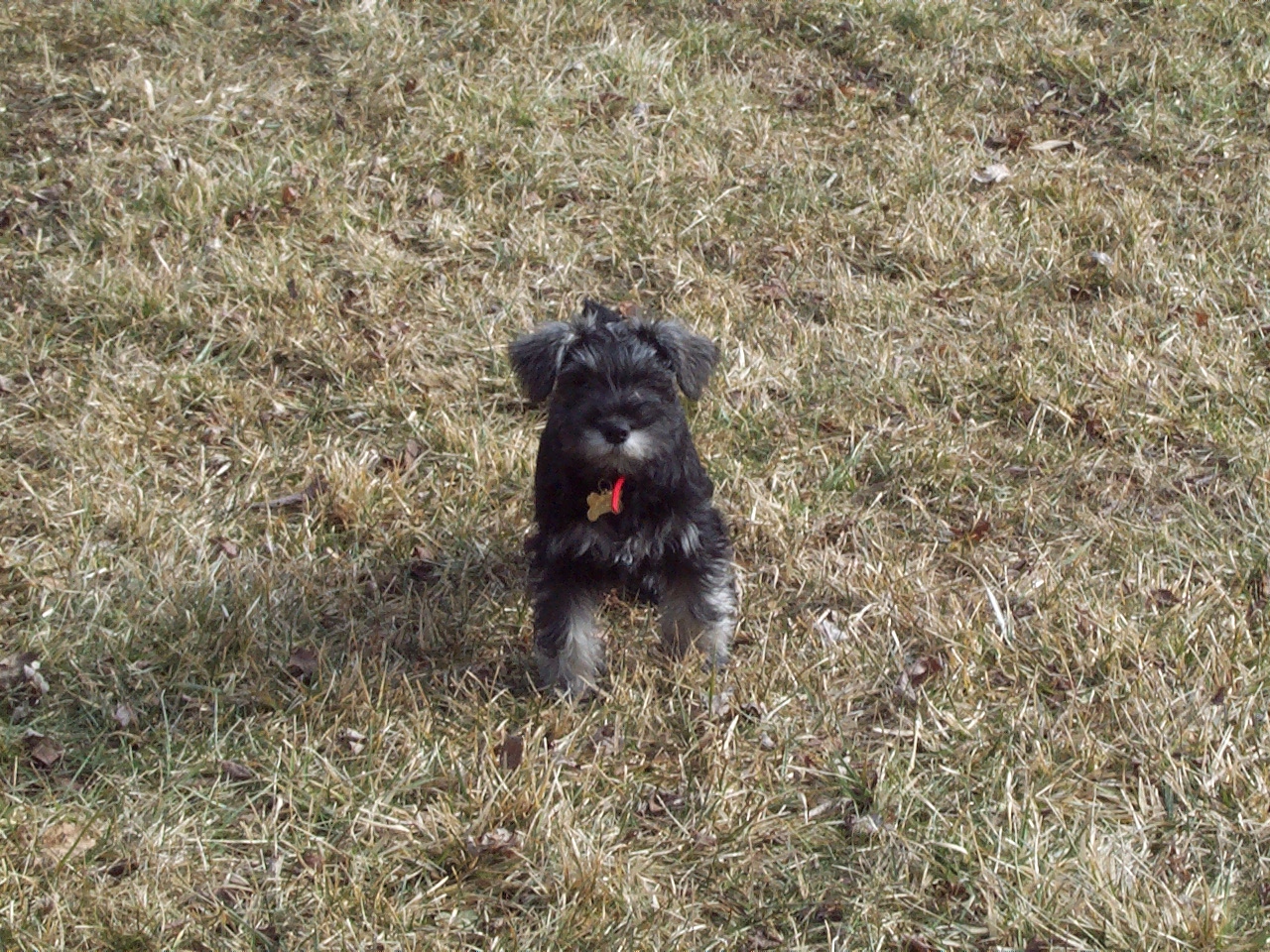 KODAK
