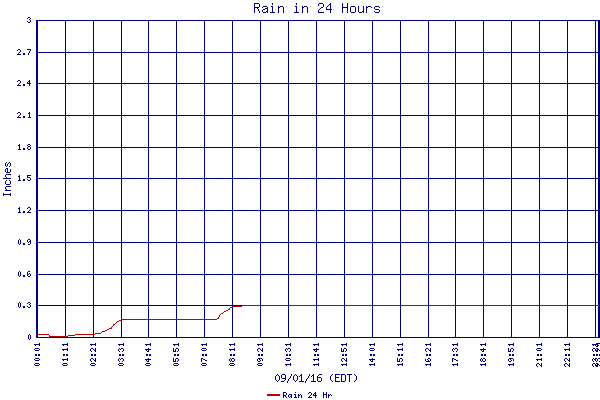Rain 24 Hr